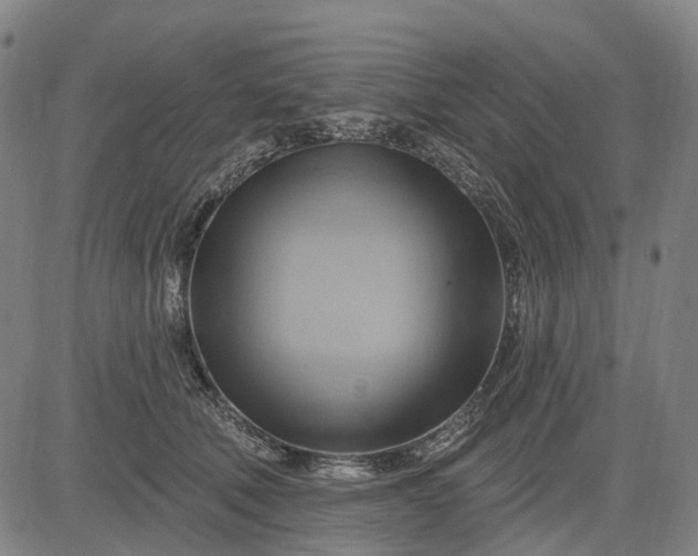 X0000083040610200702161708