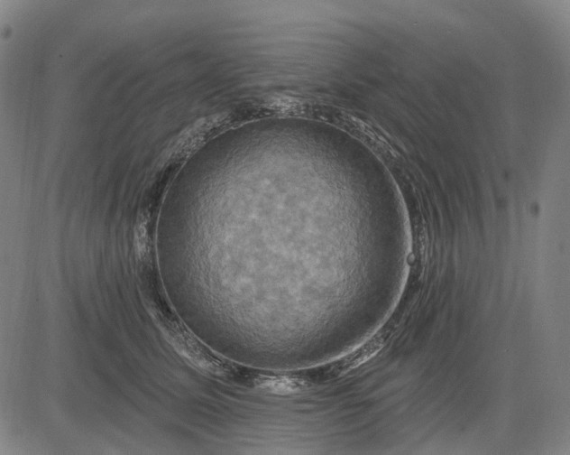 X0000083040611200702161708