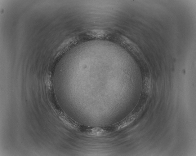 X0000083040612200702161708