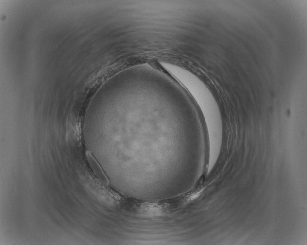 X0000083040613200702161708