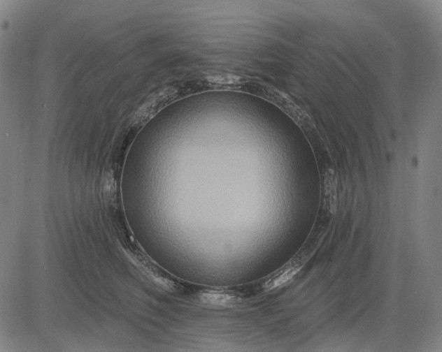 X0000083040614200702161708