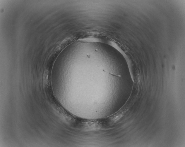 X0000083040615200702161708