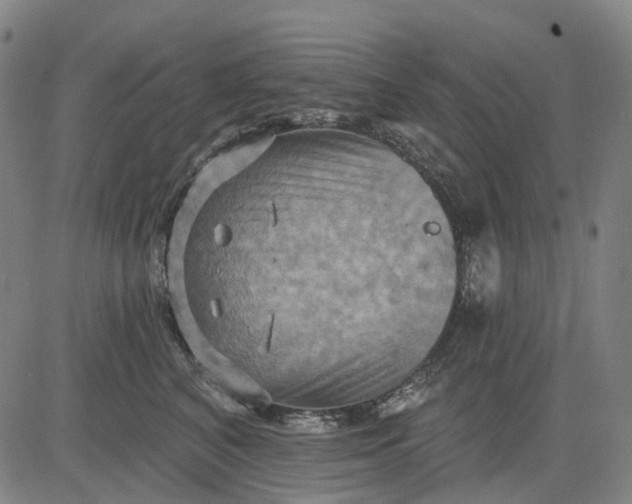 X0000083040616200702161708