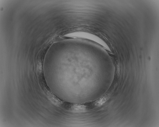 X0000083040617200702161708