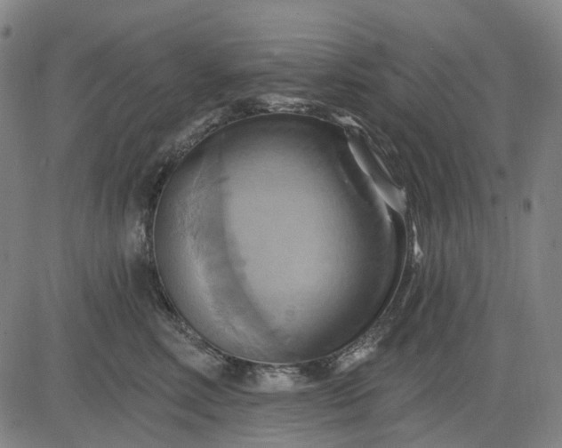 X0000083040618200702161708