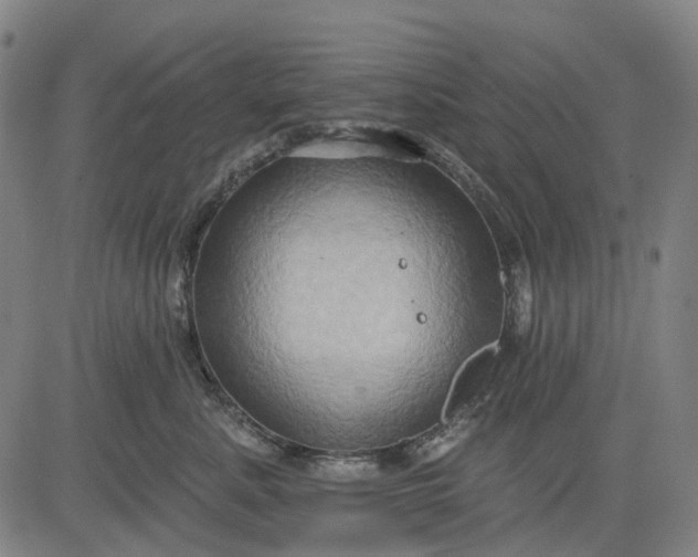 X0000083040619200702161708