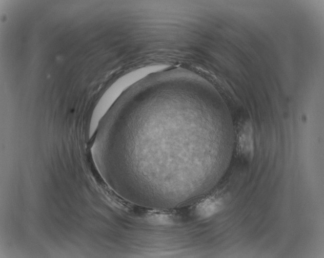 X0000083040620200702161708