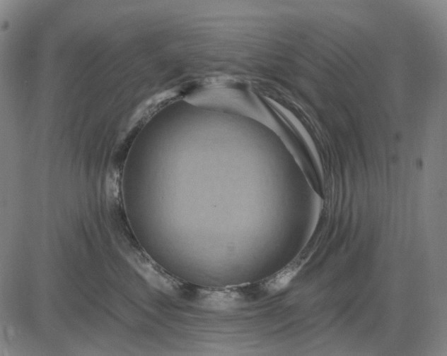 X0000083040621200702161708