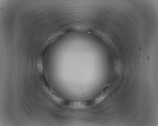 X0000083040622200702161708