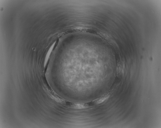 X0000083040623200702161708