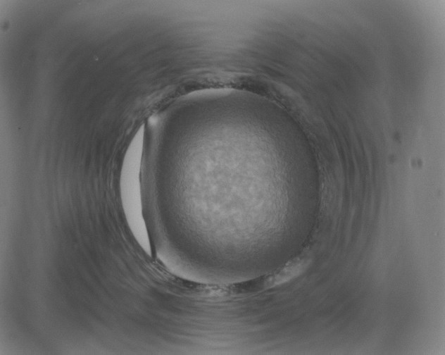 X0000083040624200702161708