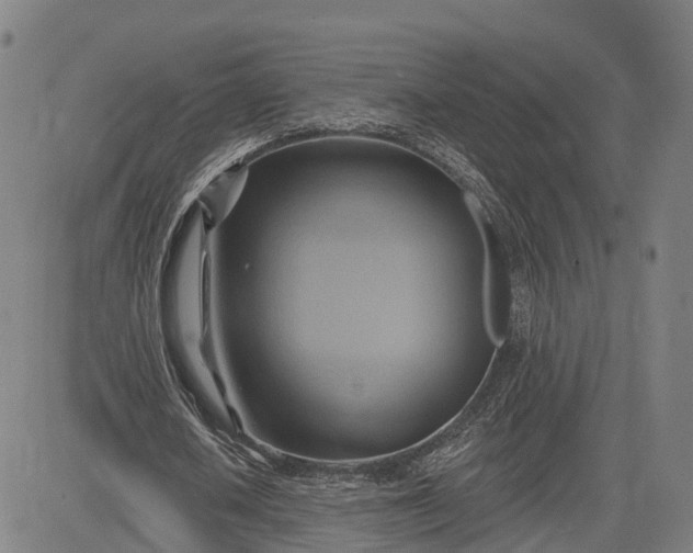 X0000083040626200702161707