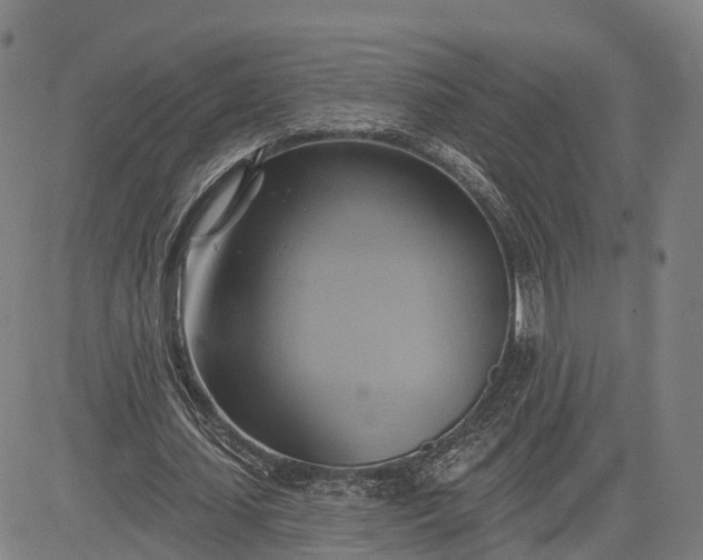 X0000083040627200702161707