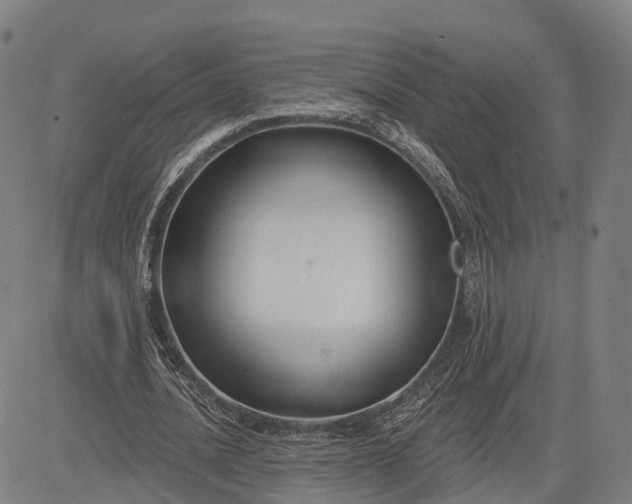 X0000083040628200702161707