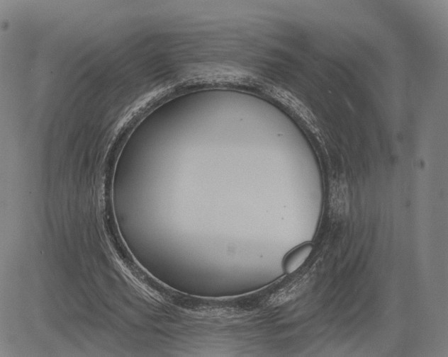 X0000083040629200702161707