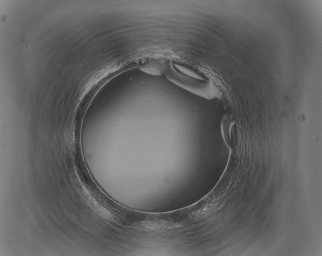 X0000083040630200702161707