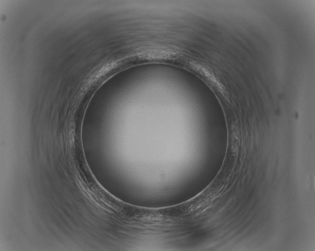 X0000083040631200702161707