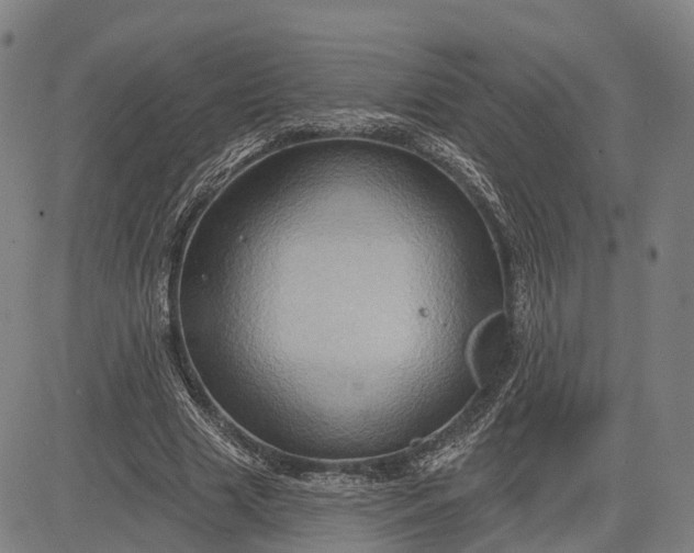 X0000083040633200702161707