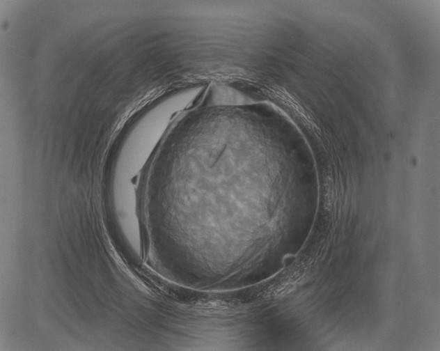 X0000083040634200702161707