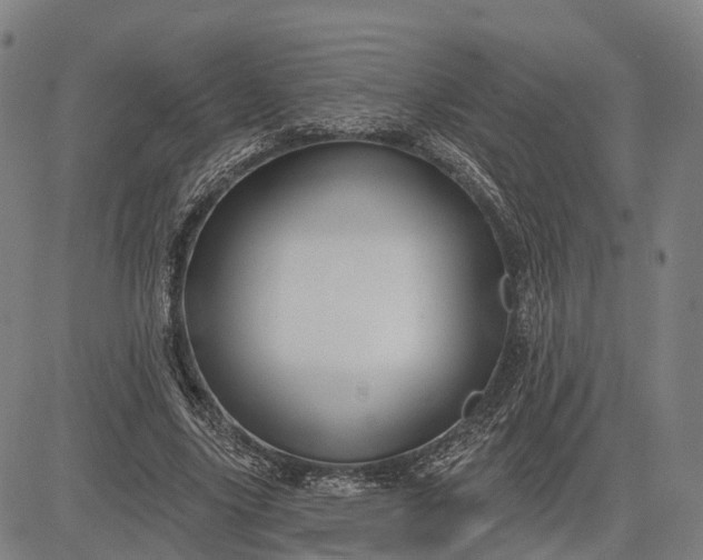 X0000083040635200702161707