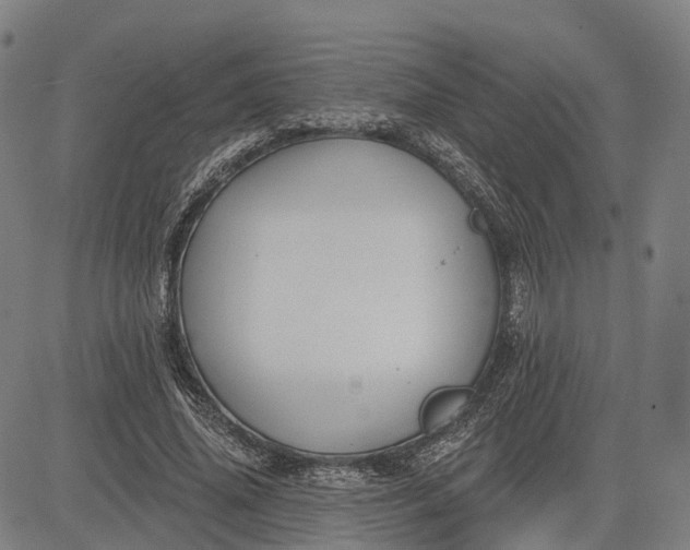 X0000083040636200702161707