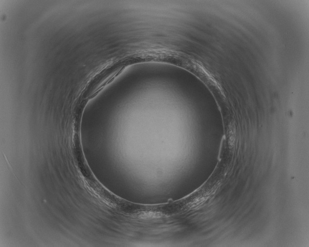 X0000083040637200702161707