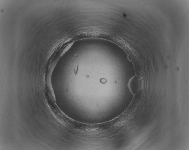 X0000083040638200702161707