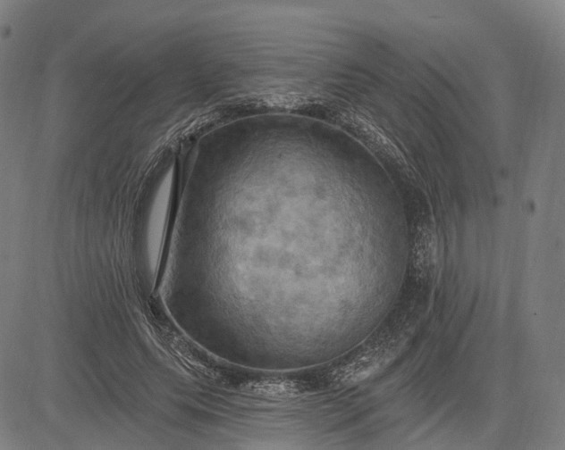 X0000083040639200702161707