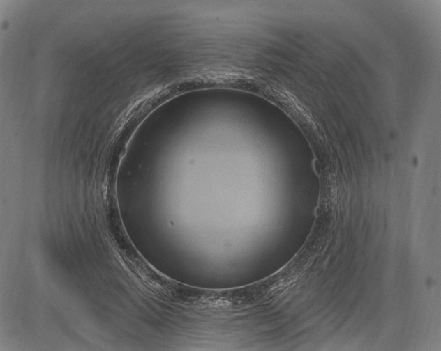 X0000083040640200702161707