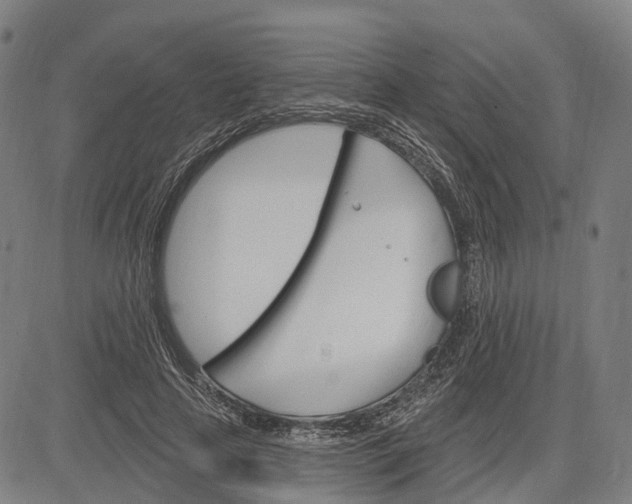 X0000083040641200702161707