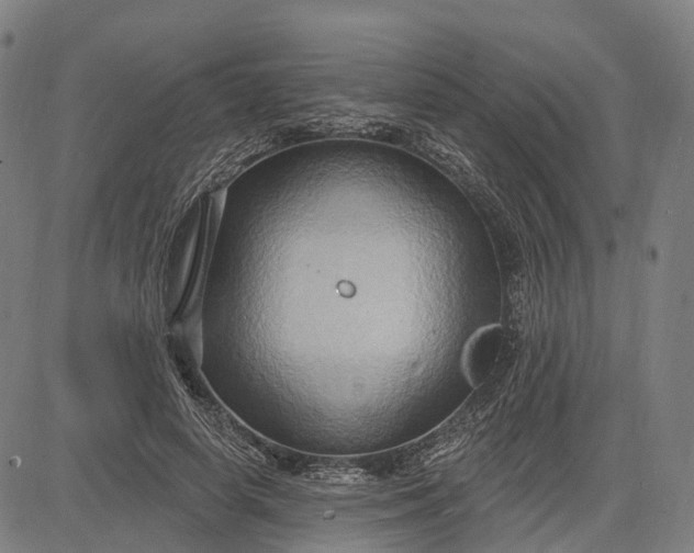 X0000083040642200702161707