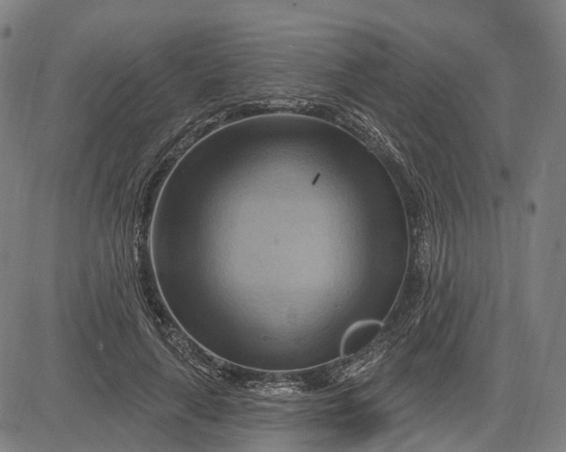 X0000083040643200702161707