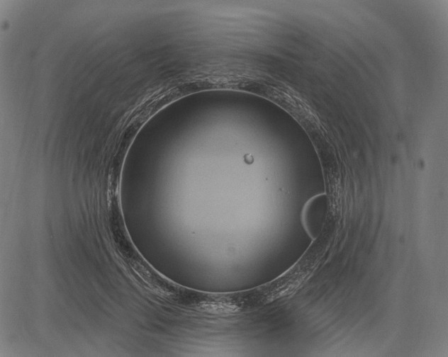 X0000083040644200702161707