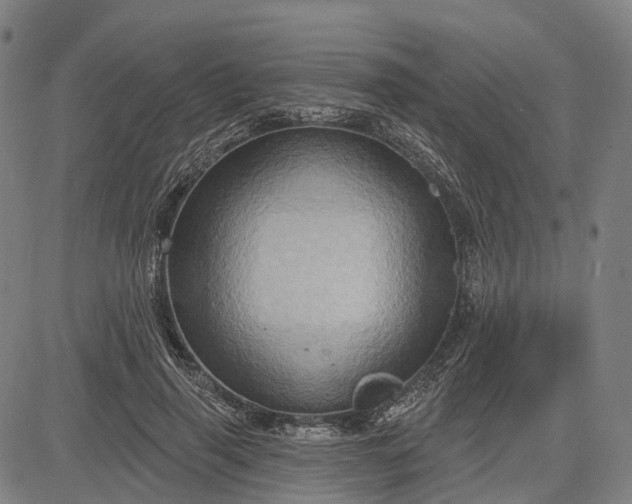 X0000083040645200702161707