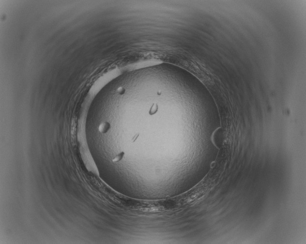 X0000083040646200702161707