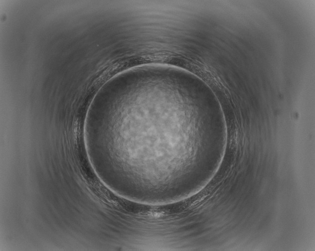 X0000083040647200702161707