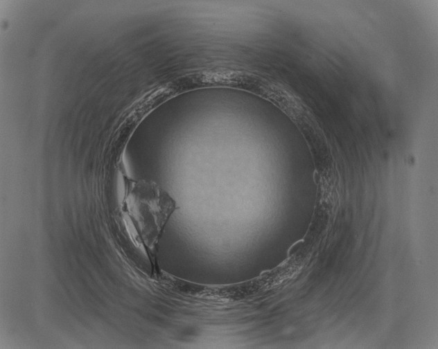 X0000083040648200702161707