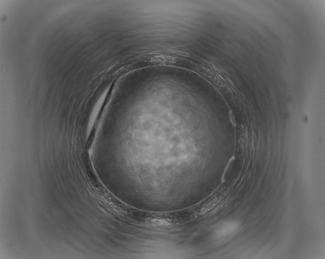 X0000083040649200702161707