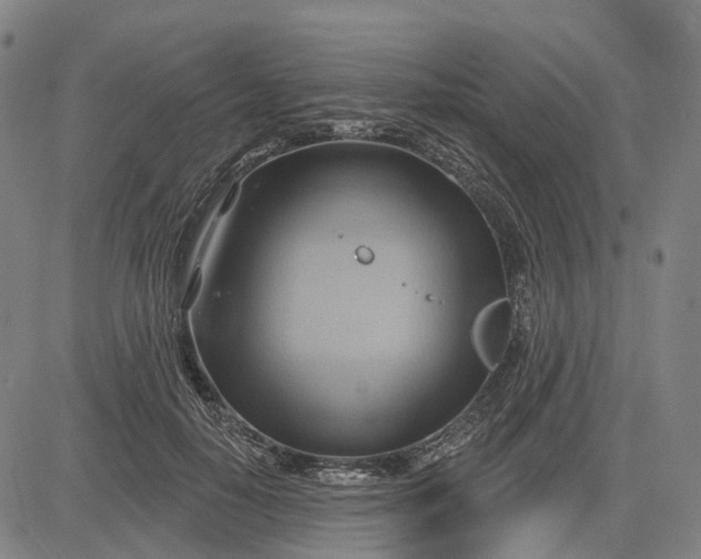 X0000083040650200702161707