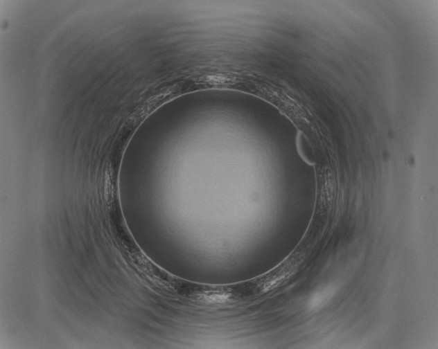 X0000083040651200702161707