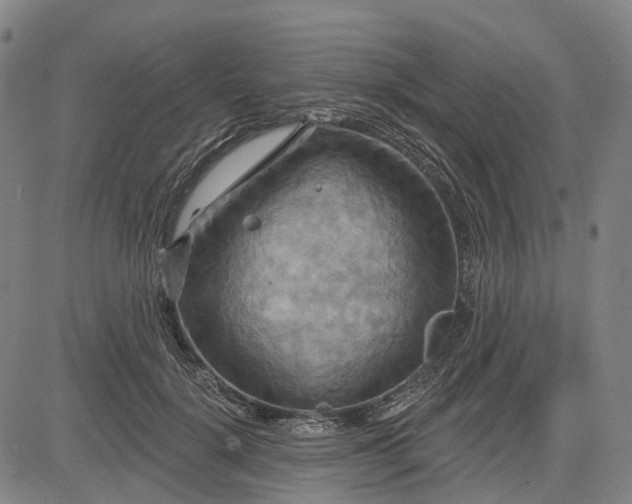 X0000083040652200702161707