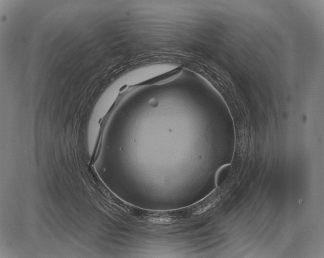 X0000083040653200702161707