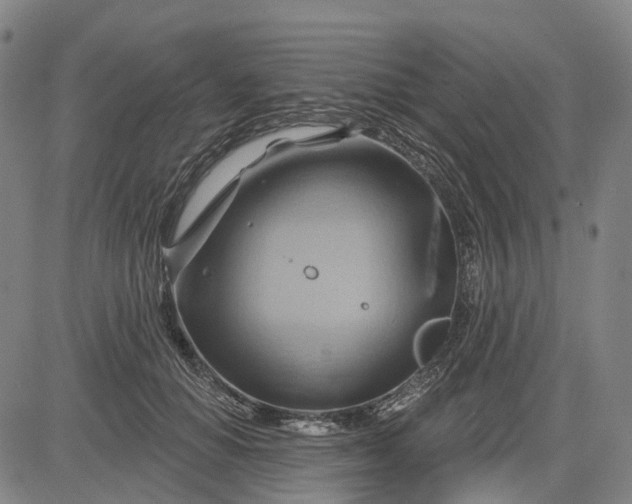 X0000083040654200702161708