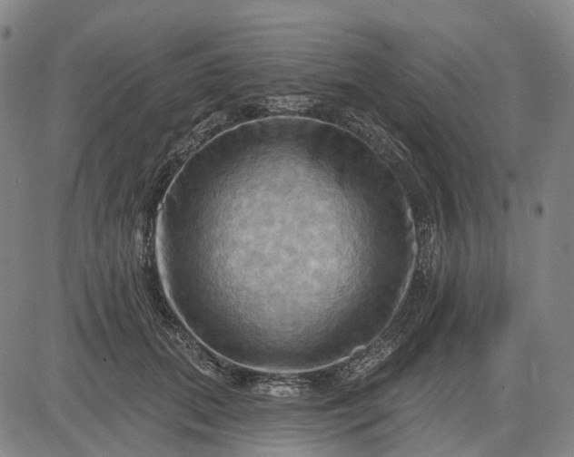 X0000083040655200702161708