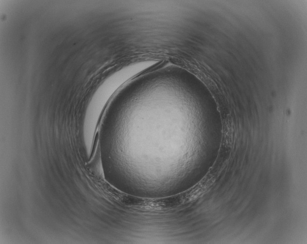 X0000083040656200702161708