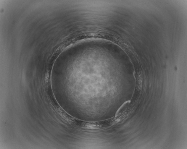 X0000083040657200702161708