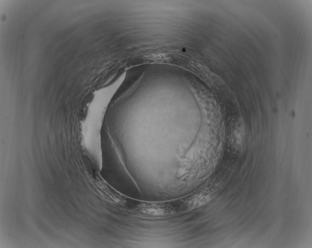 X0000083040658200702161708