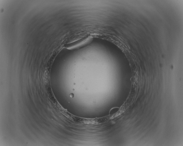 X0000083040659200702161708