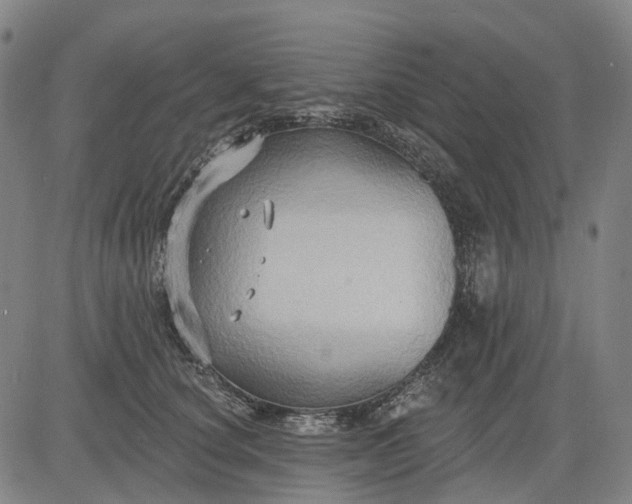 X0000083040660200702161708