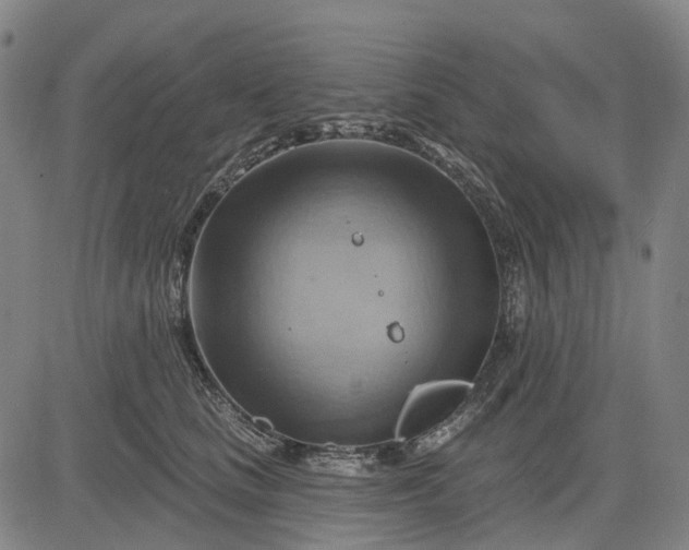 X0000083040661200702161708